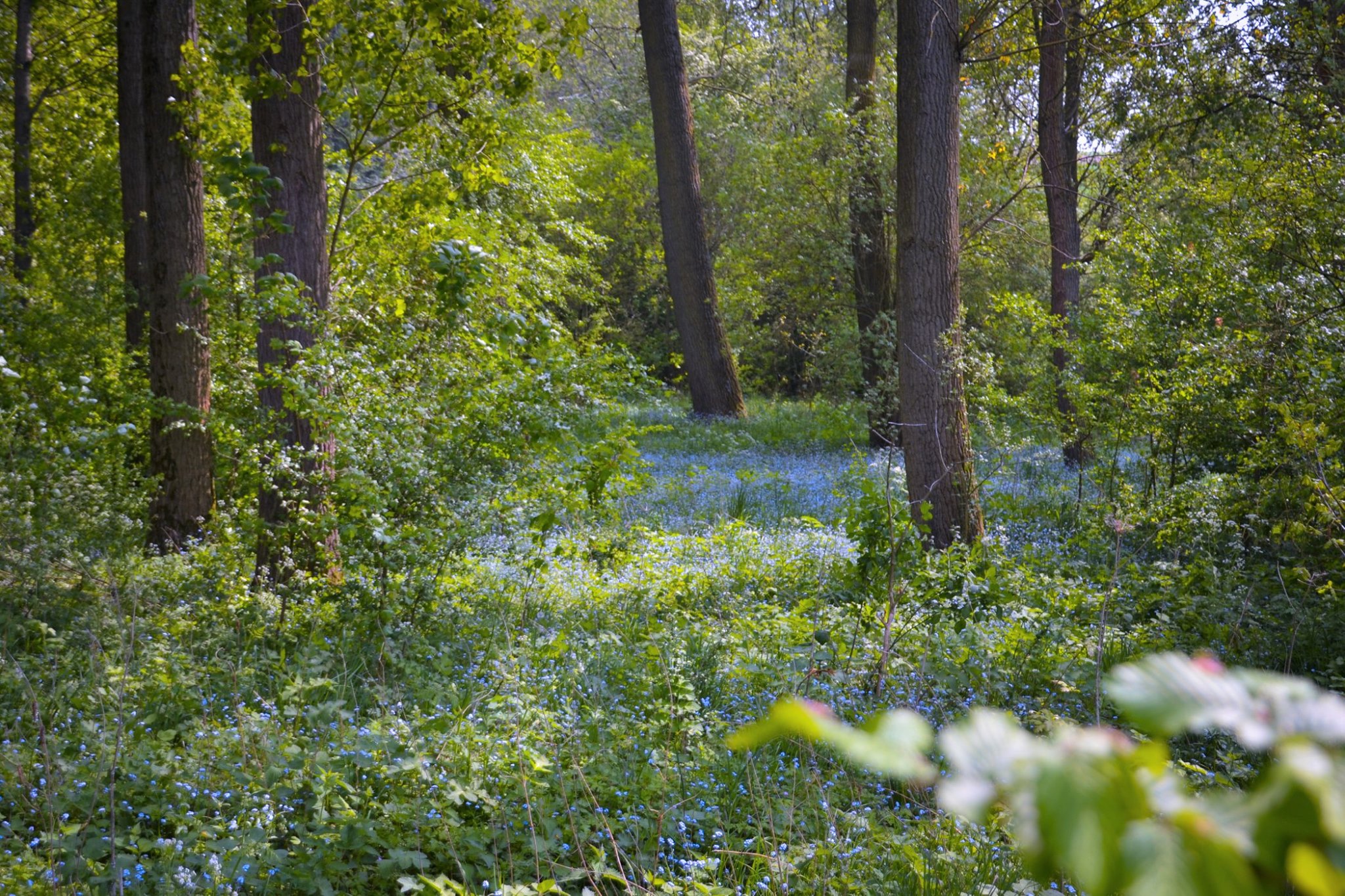 gerlabeekwandeling