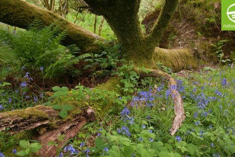 Uitdagende Landschapswandeling in hartje Vlaamse Ardennen © Wim Dirckx