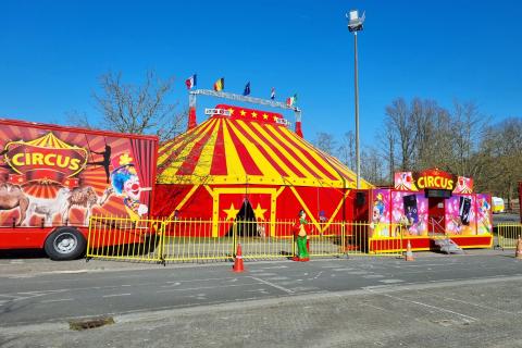 Circus Pepino te Maarkedal, mei 2025 © directie