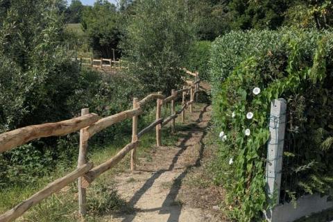 Social trailrun over trage wegen rond Etikhove © MOW