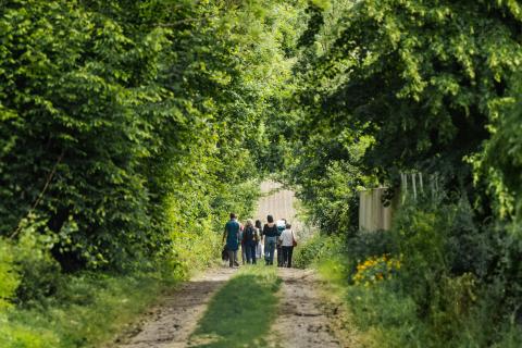 Wandel langs trage wegen in Maarkedal © Gemeente Maarkedal