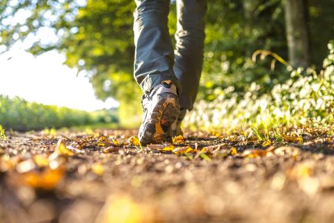 Verhalenwandeling © variant