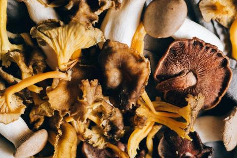 Verrassend koken met champignons en paddenstoelen - kookdemo © Pexels