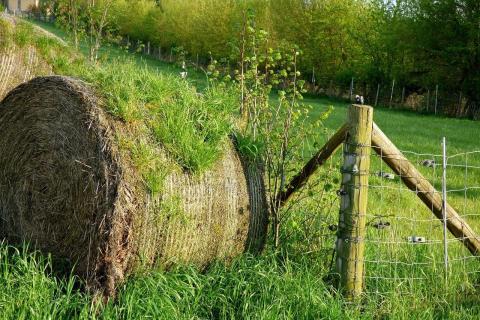 Gidsen voor Gidsen: Landschapslezen © free