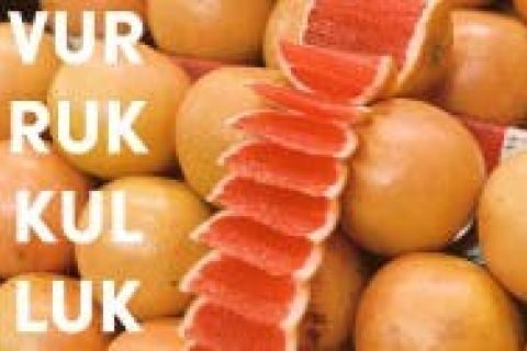 Literair evenement boesprekers - met de bus naar Vurrukkulluk in Maarkedal © Bib Brakel