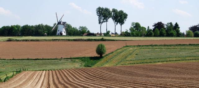 landbouw