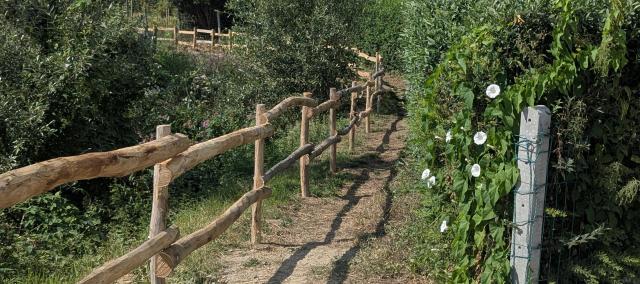 Social trailrun over trage wegen © Afdeling Trage Wegen MOW
