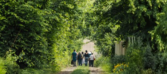 Wandel langs trage wegen in Maarkedal © Gemeente Maarkedal