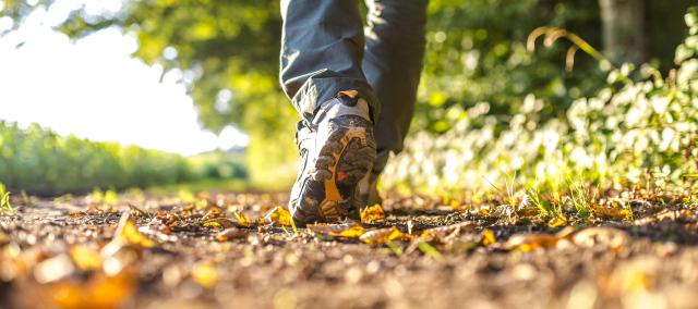 Verhalenwandeling © variant