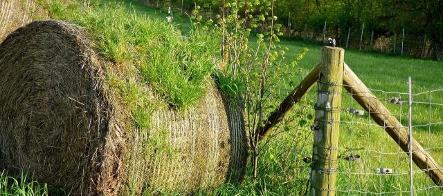 Gidsen voor Gidsen: Landschapslezen © free