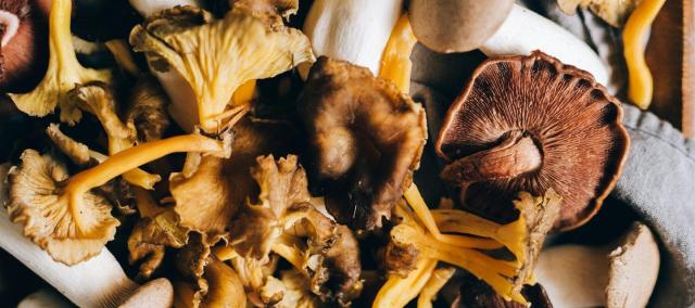 Verrassend koken met champignons en paddenstoelen - kookdemo © Pexels