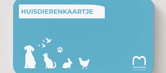 kaartje